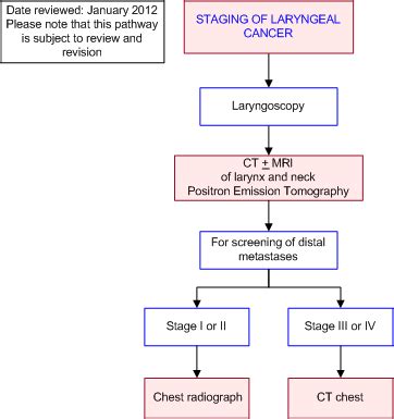 Pathophysiology Of Laryngeal Cancer