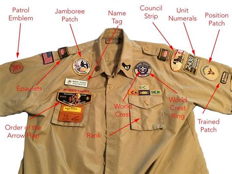 Found on Bing from tshirt.sisicamping.info | Boy scout uniform, Boy ...