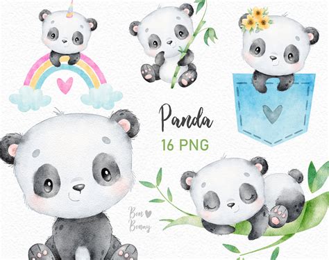 Cute Panda Watercolor Little Animals Clipart Baby Animals - Etsy