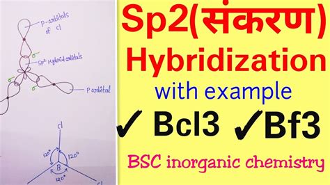 Sp2 hybridization in hindi,Bcl3 hybridization ,bf3 hybridization ,BSC ...