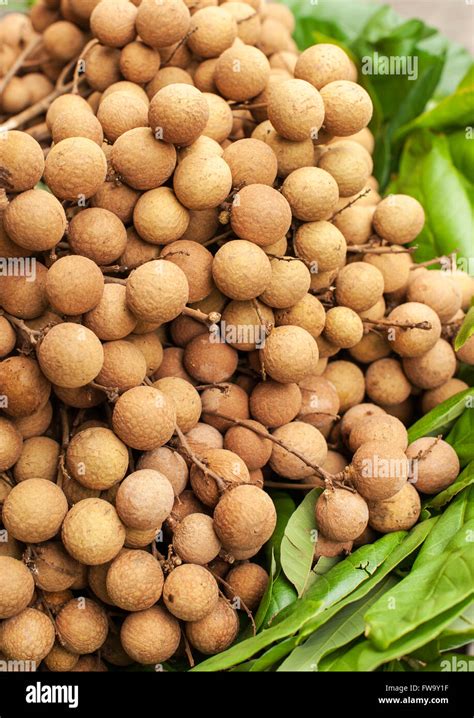 Longan (similar to lychee) for sale in Mauritius Stock Photo: 101637019 ...