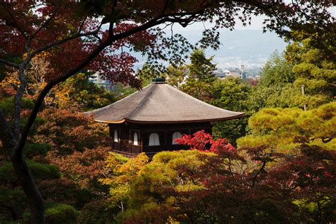 The 5 Best Gardens in Kyoto - Walking Tours in Kyoto | Kyoto Tours ...