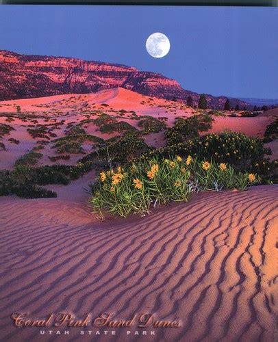 Coral Pink Sand Dunes, Utah State Park - The Laptop Traveler