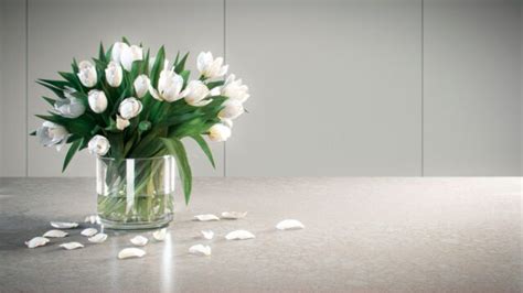 Caesarstone Adamina – Precision Stone