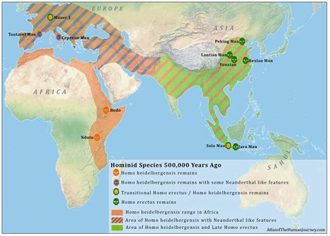 Homo Erectus Map History Of Wine, Ancient World History, Hominid ...