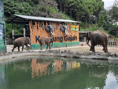 Lembang Park Zoo: Tiket Masuk, Lokasi, Jam Buka & Fasilitas