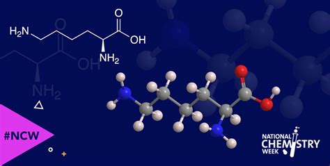 L-Lysine - American Chemical Society