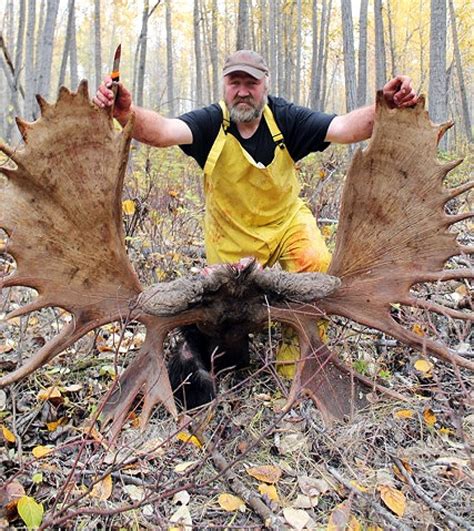 Giant Yukon moose confirmed as world record | CBC News