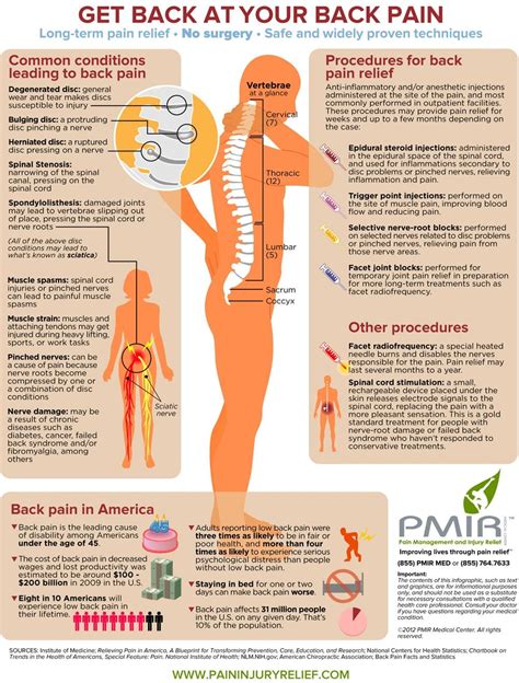 Causes of Back Pain and its relief Lower Back Pain Causes, Low Back ...