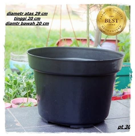 Pot Bunga Yg Besar - Informasi Seputar Tanaman Hias