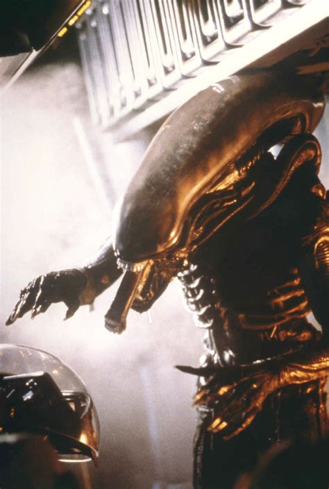 Alien 1979 Xenomorph