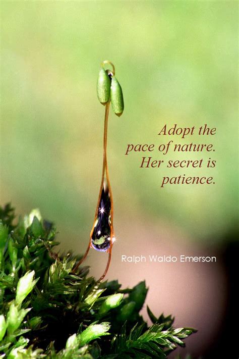 Nature By Ralph Waldo Emerson Quotes. QuotesGram