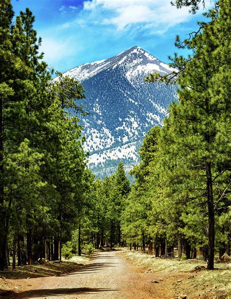 Flagstaff Arizona Road to Mountains Photograph by Good Focused | Fine ...