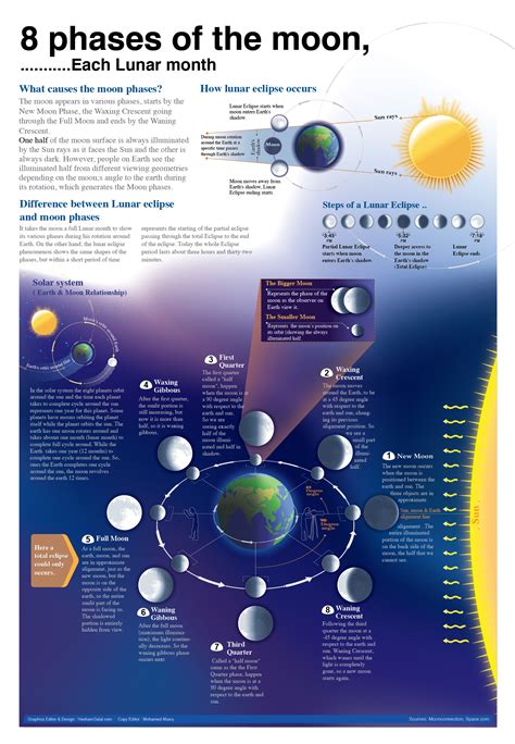 8 Phases Of The Moon [INFOGRAPHIC] #moon #phases - Infographic List