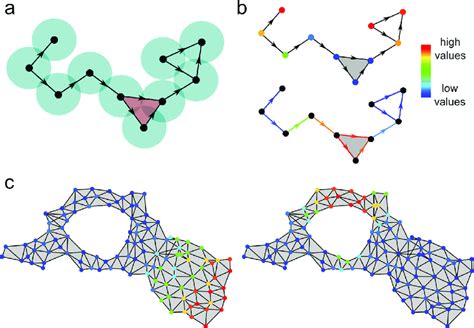 Simplicial complexes provide topological representations of a space ...