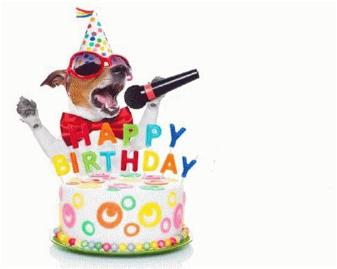 happy birthday dog gif funny | Birthday Star