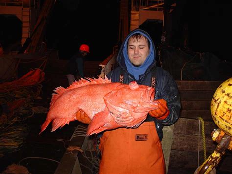 Shortraker-Rockfish-top-8-longest-living | Environment Buddy