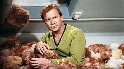 Star Trek's Fuzzy And Adorable Menaces, The Tribbles, Explained | GIANT ...