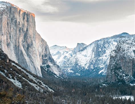 Why You Have to Visit Yosemite in December - The Redwoods In Yosemite