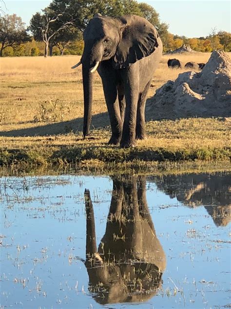 Hwange National Park, Zimbabwe