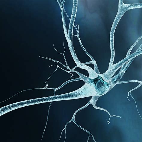 Neurons-fly-through 3D Model animated rigged MAX | CGTrader.com