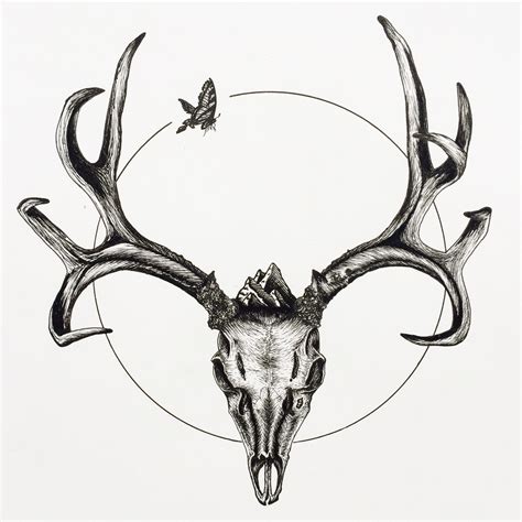 Drawings Of Deer Skulls | Free download on ClipArtMag