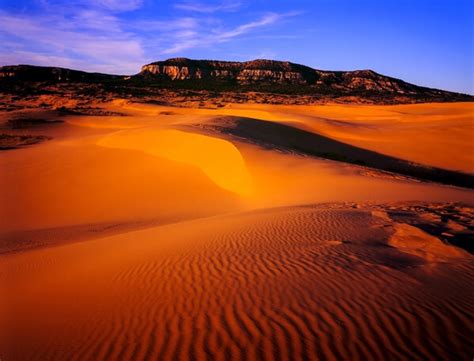 Coral Pink Sand Dunes photo spot, Kanab