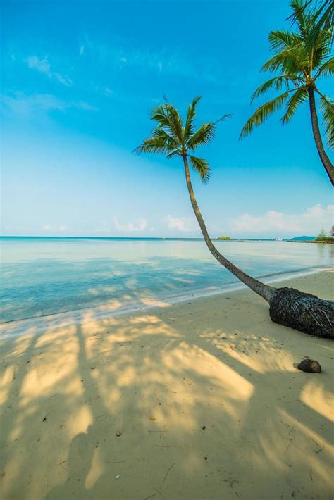 Paradise island with beach and sea 2087953 Stock Photo at Vecteezy