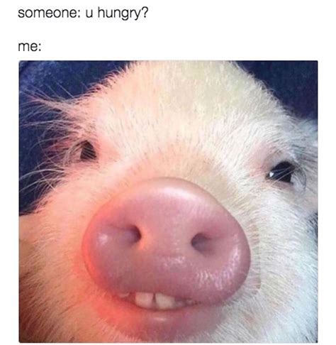 32 Memes You'll Laugh At If You're In A Relationship With Food | Funny ...