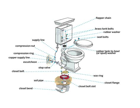 How To Install a Toilet | Toilet installation, Plumbing installation ...