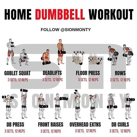 Home Dumbbell Workout by @sionmonty - Follow @gym_fit_union | Full body ...