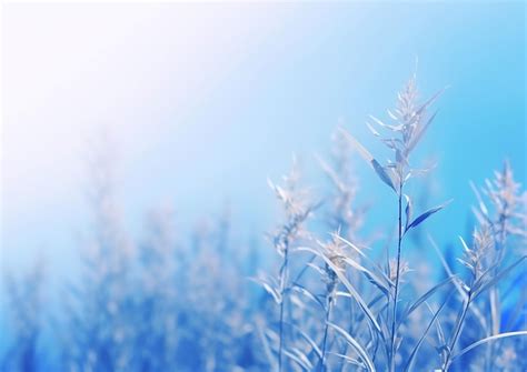 Premium Photo | Soft blue healing glow peaceful nature minimal background