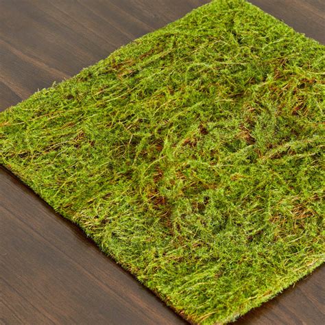 Green Water Sphagnum Moss Sheet - Drieds + Natural Botanicals - Floral ...