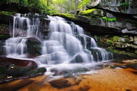 Elakala Falls - A Popular Waterfall Of West Virginia