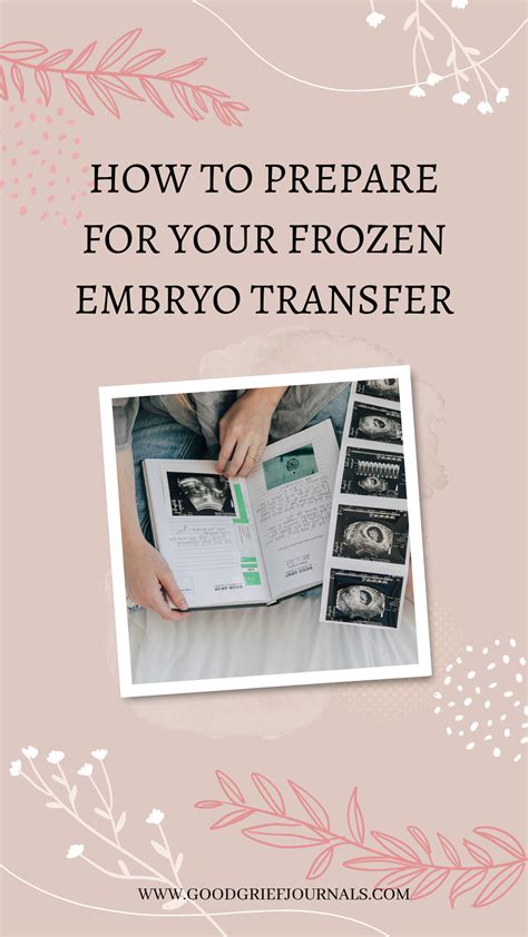 Frozen embryo transfer timeline – Artofit