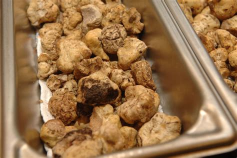 You Might Actually Be Able to Afford White Truffles This Year - Eater