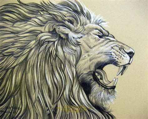 Realistic Lion Drawing at GetDrawings | Free download