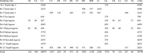 The individual numbers of ostracod species by station. | Download ...