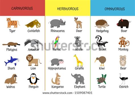 48,093 Omnivore Animals Images, Stock Photos & Vectors | Shutterstock