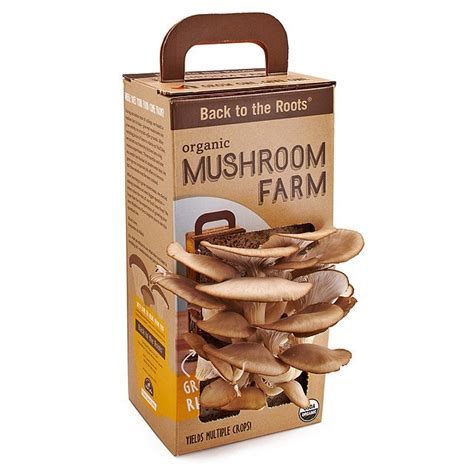 Best 30 Oyster Mushrooms Kits - Best Recipes Ideas and Collections