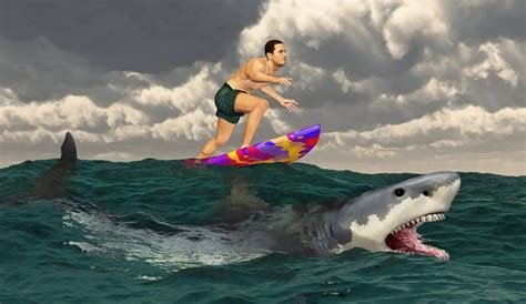 Cape Cod Real Life Jaws Shark Attack - Totes Newsworthy