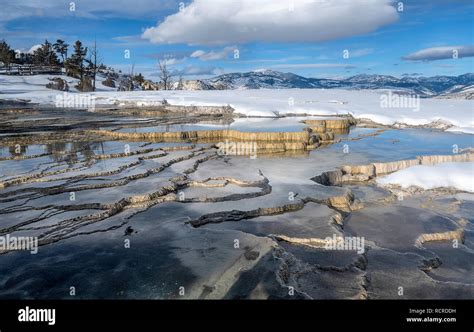 Winter, Mammoth Hot Springs, Yellowstone Stock Photo - Alamy