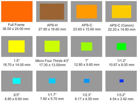 Full Frame vs Crop Sensor — Everything You Need to Decide