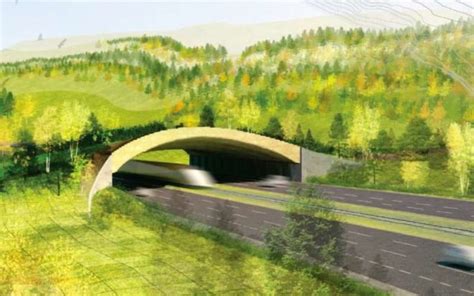 Five Archtitects Design Wildlife Crossings for Colorado Highway