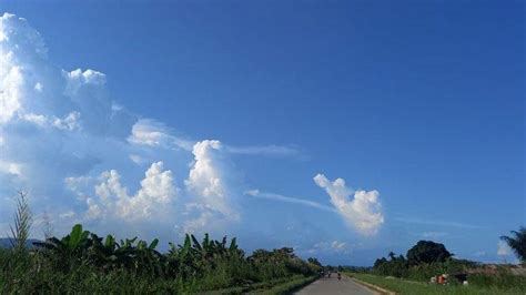 Cuaca di Kabupaten Kutai Timur Hari Ini, Kota Sangatta Cenderung Cerah ...