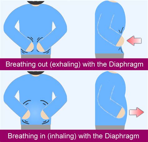 Deep breathing exercise - Torbay and South Devon NHS Foundation Trust