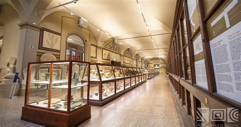 Museums in Bologna: a must-see heritage - Bologna Experience