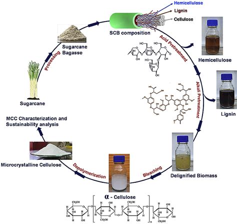 Microcrystalline cellulose production from sugarcane bagasse ...