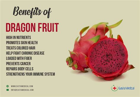 Dragon Fruit Benefits – لاينز