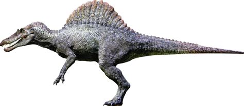 Spinosaurus (Jurassic Park) | Kylar Wiki | FANDOM powered by Wikia